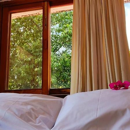 Ixlum Hoteles Y Casas Vacacionales Tepoztlán Exterior foto